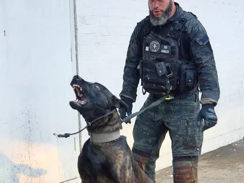 LICENSED DOG HANDLERS